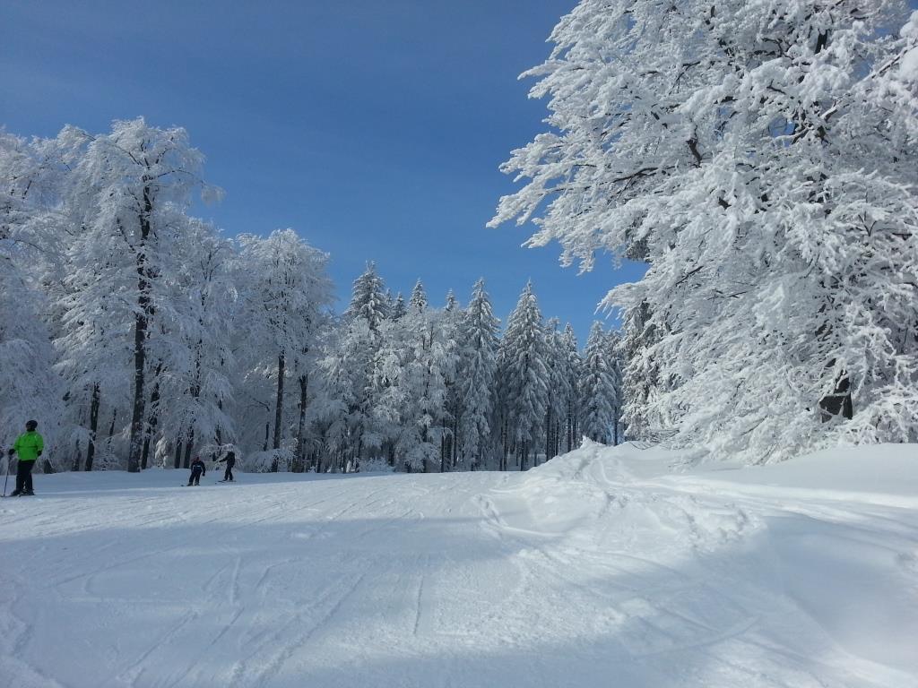Boehmerwald Pur2 คลาฟเฟอร์ อัม โฮคฟิทต์ ภายนอก รูปภาพ